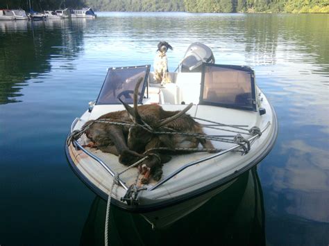 boat porn|Boat